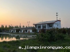 星空彩票ck官网